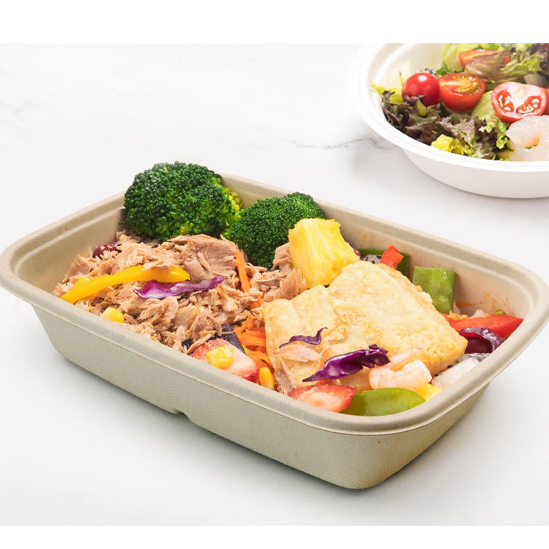 Square Takeout Box | Sugar Cane | Compostable