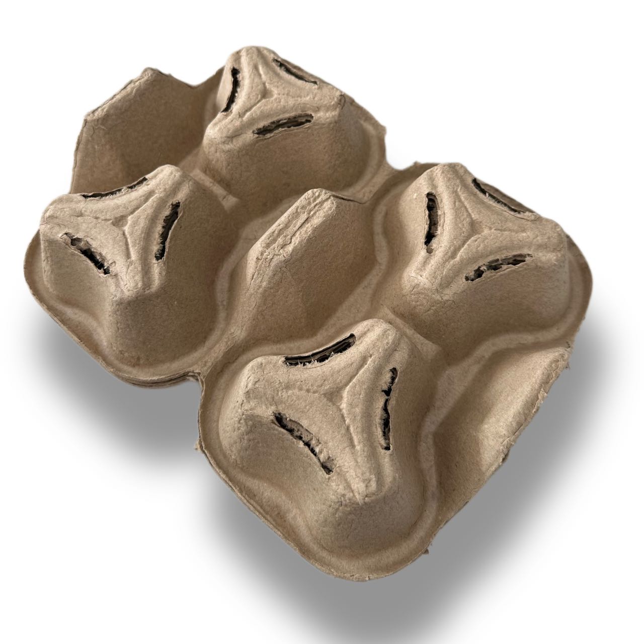 Recycled Paper | Drink Holder – AEON Packaging