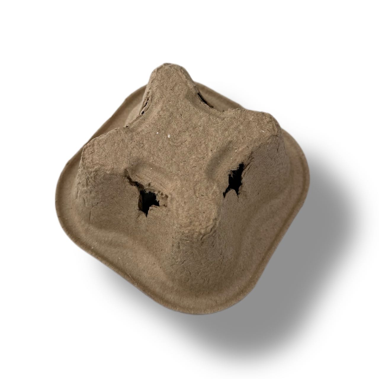 Recycled Paper | Drink Holder