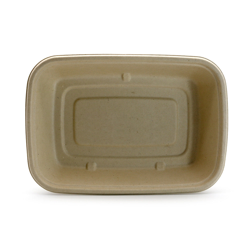 Square Takeout Box | Sugar Cane | Compostable