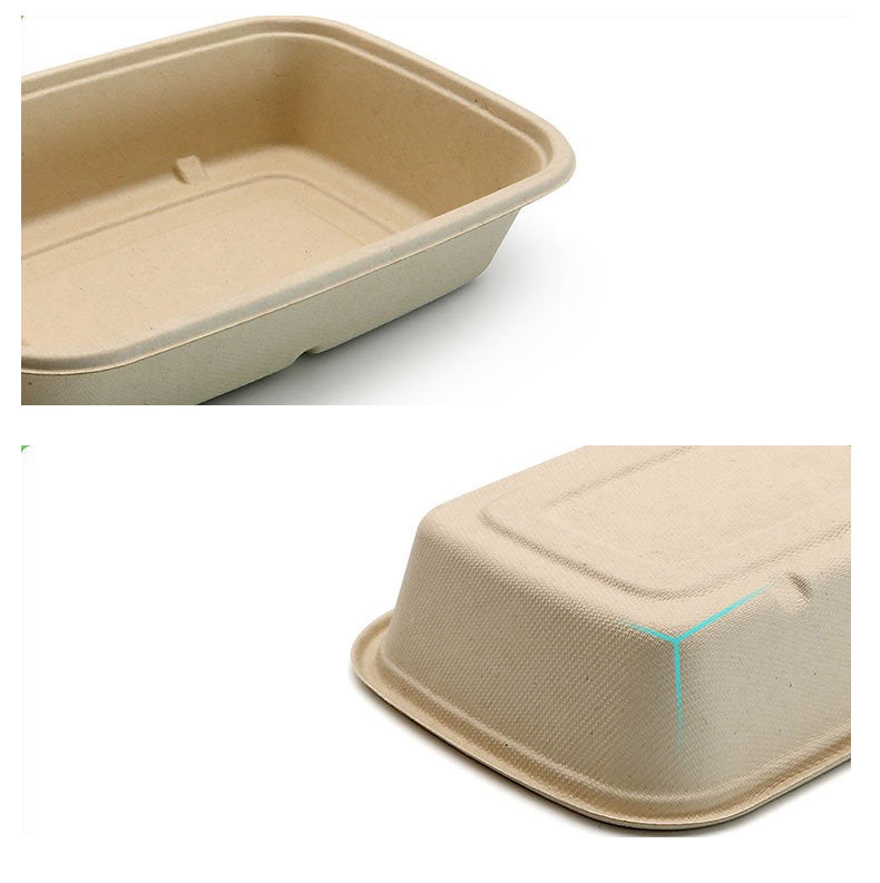 Square Takeout Box | Sugar Cane | Compostable