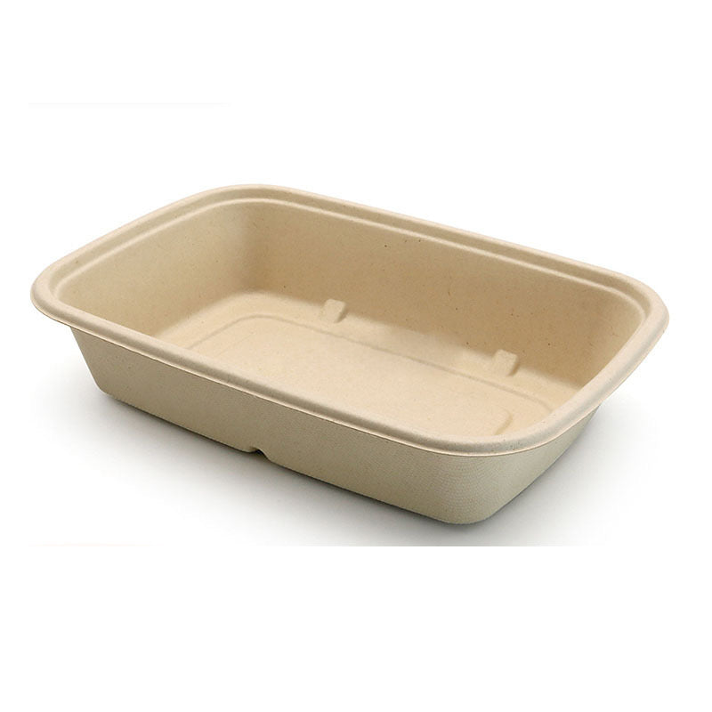 Square Takeout Box | Sugar Cane | Compostable