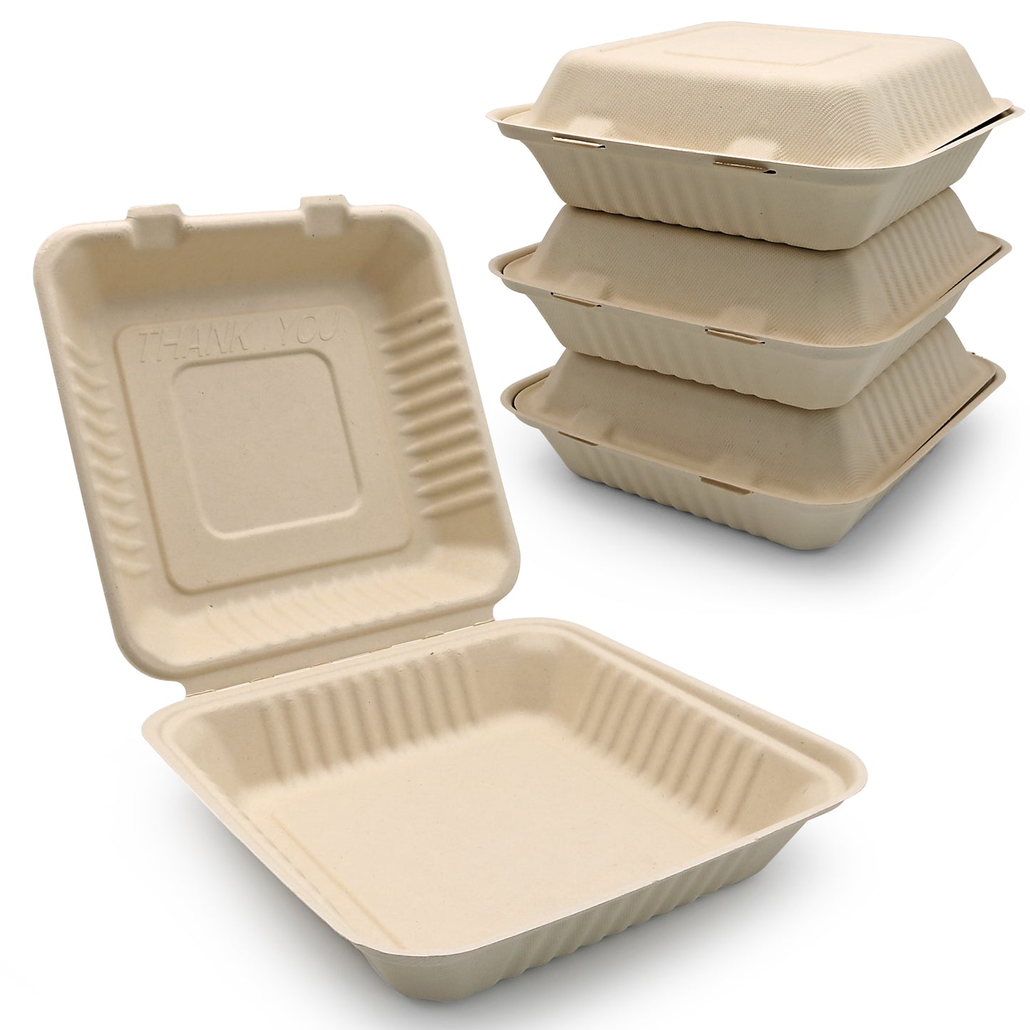 Clamshell Square Container | Sugar Cane | Compostable