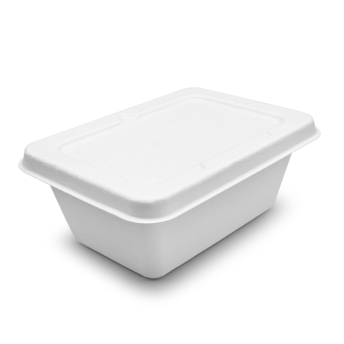 Square To-Go Box | Sugar Cane | Compostable